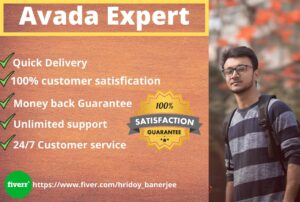 Fiver-Avada Expert for your website